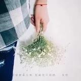 晶是亮晶晶的晶