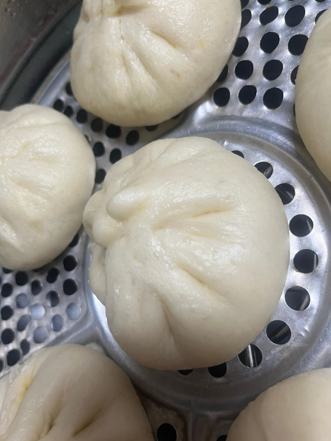 一次发酵肉包子