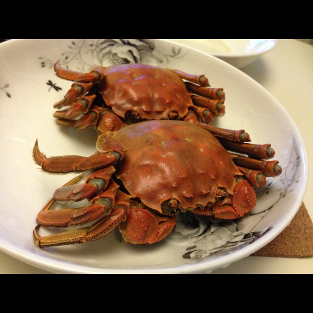 清蒸大闸蟹