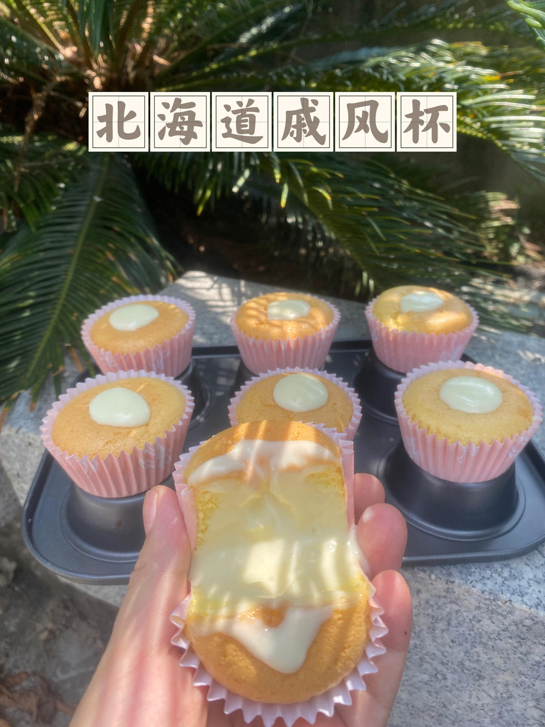 一口沦陷｜北海道戚风蛋糕🧁实在太好吃了❤️️
