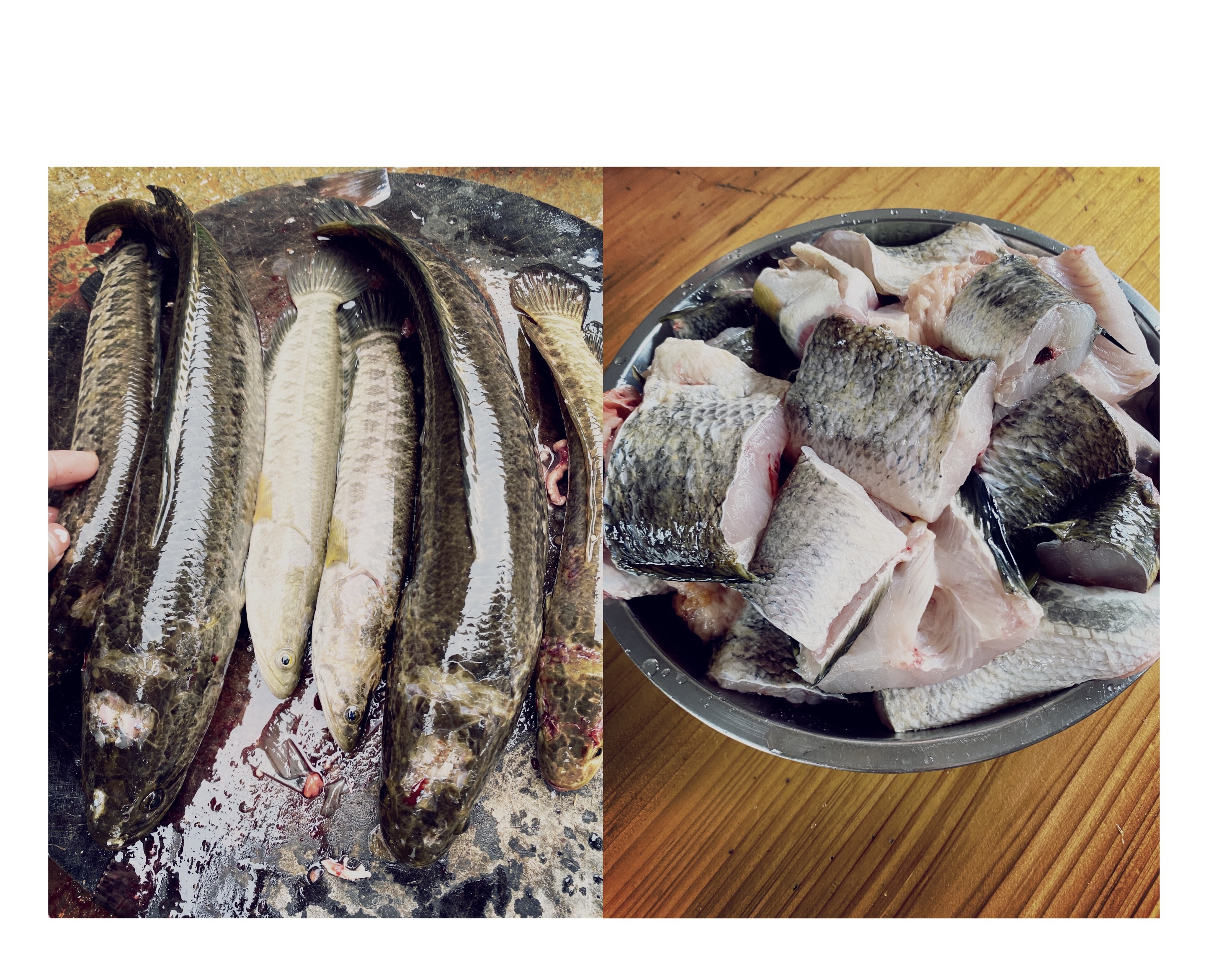 家常炖鱼这样做，鱼肉入口即化，鲜香美味的做法 步骤1