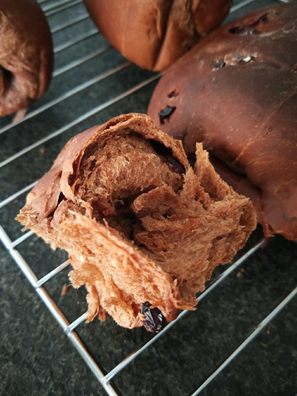 巧克力蔓越梅吐司~天然酵种(或波兰种)