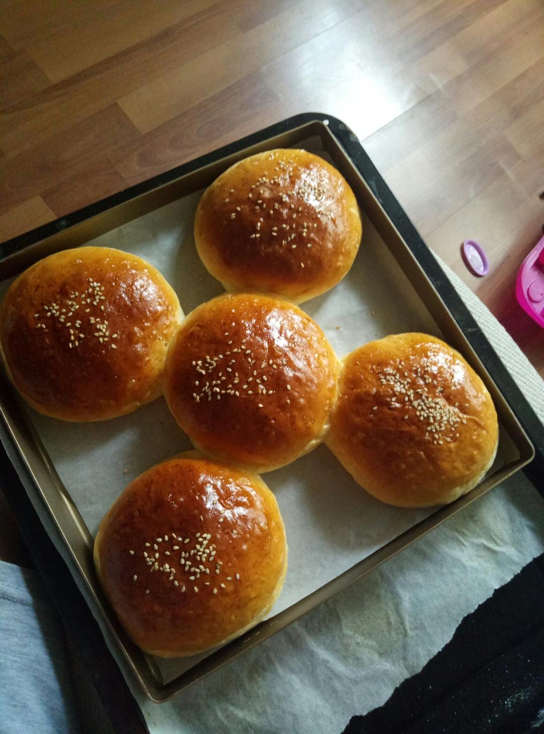 汉堡胚（中种法）