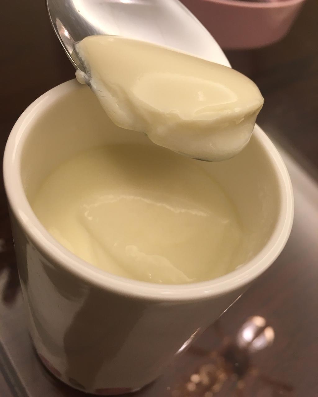 emma和eva的暖窝做的自制酸奶(奶粉版)