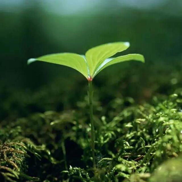了悟~禅心