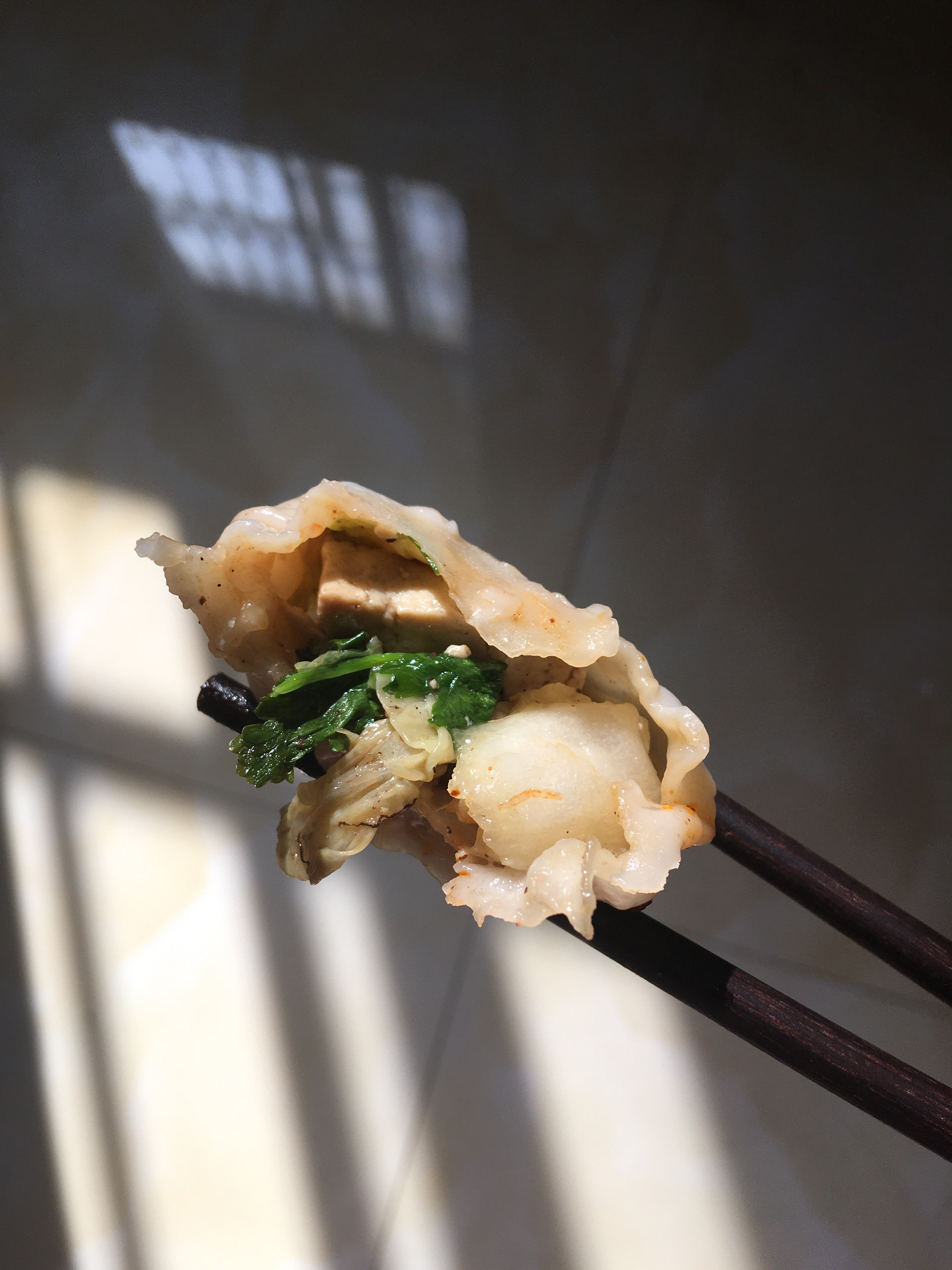 懒人白菜豆腐素饺子的做法