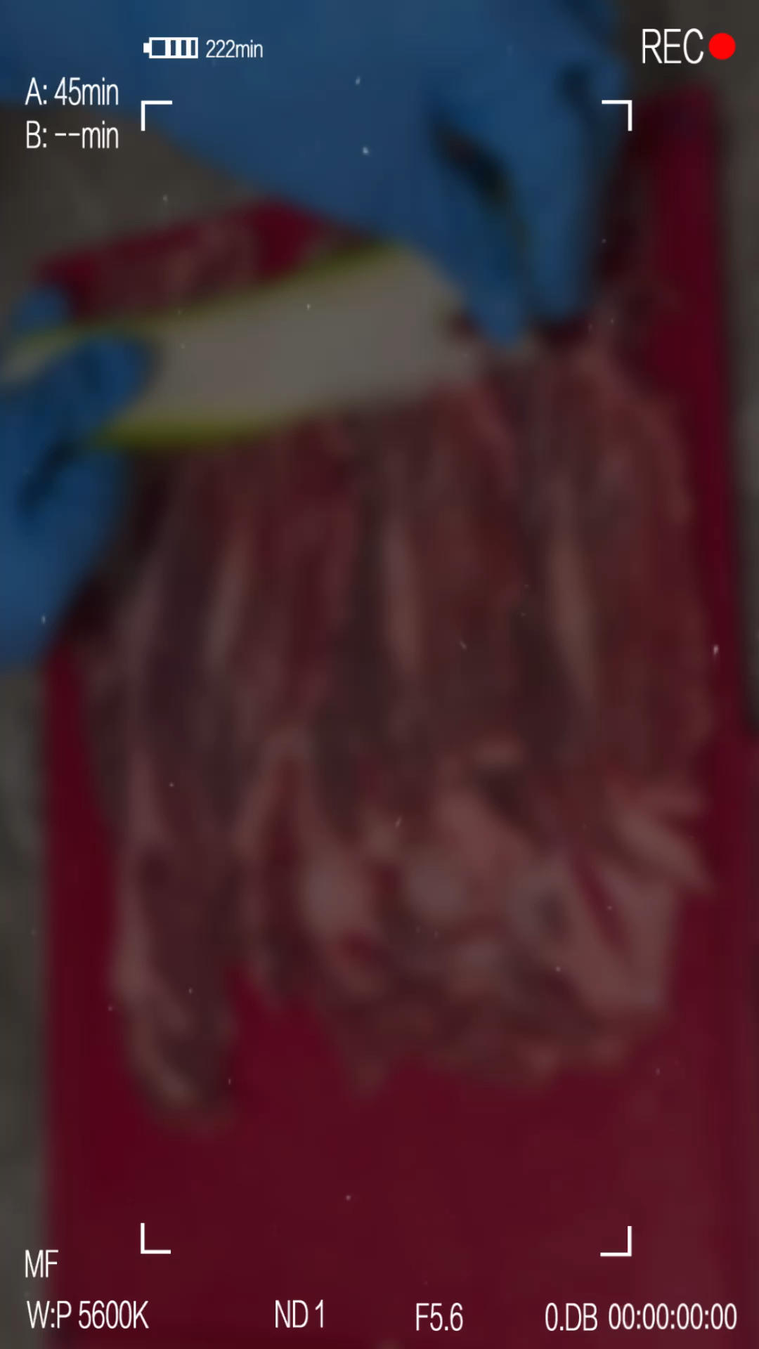 减脂牛肉卷
