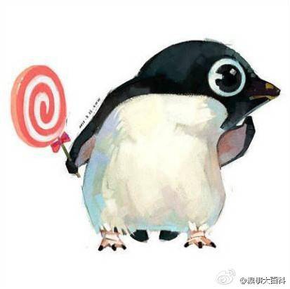 小兮子