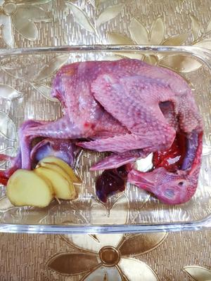 增强体质活血化瘀促进术后康复做法简单的营养鸽子汤的做法 步骤1