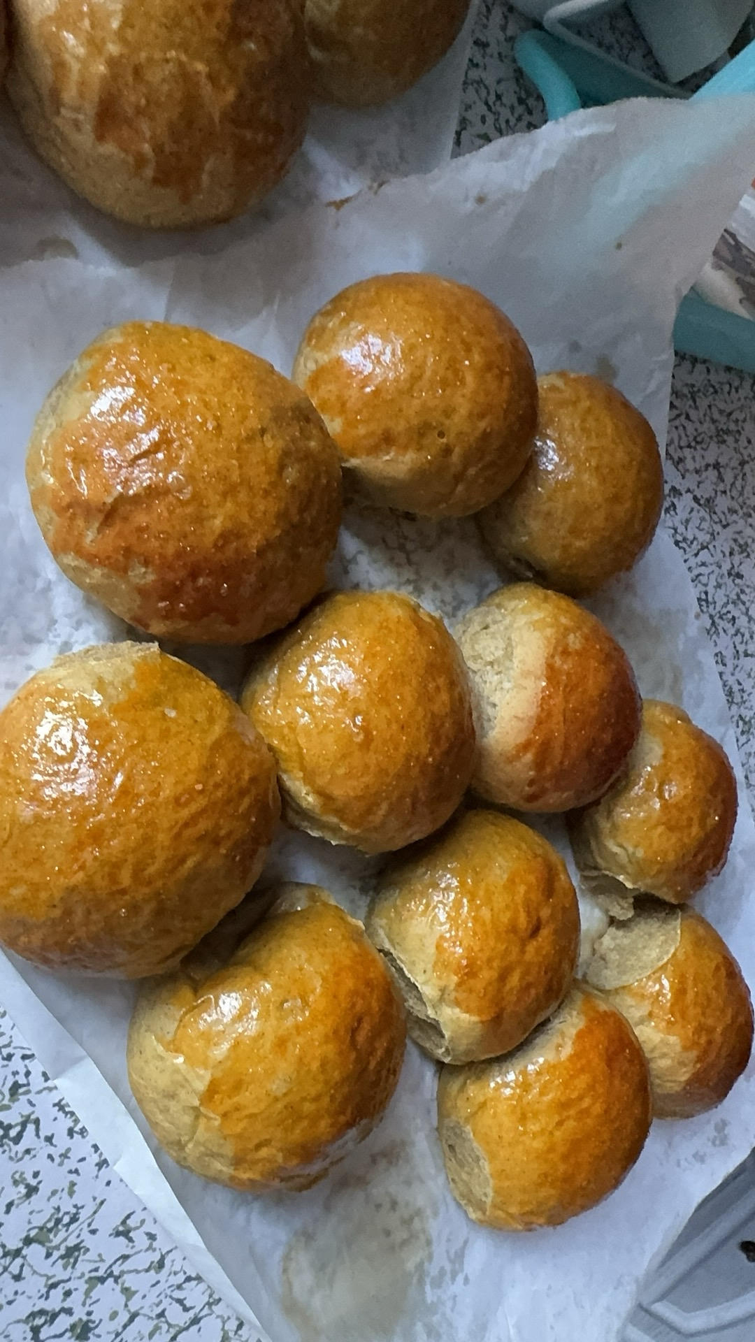 自由欧包（波兰种）