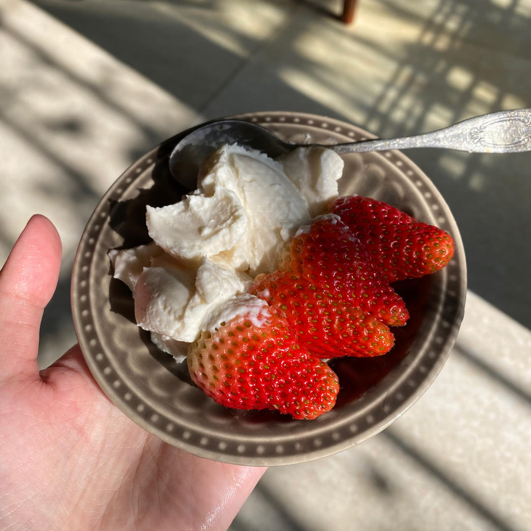 寻找最省事的自制希腊酸奶方法（乳清过滤方法比较）