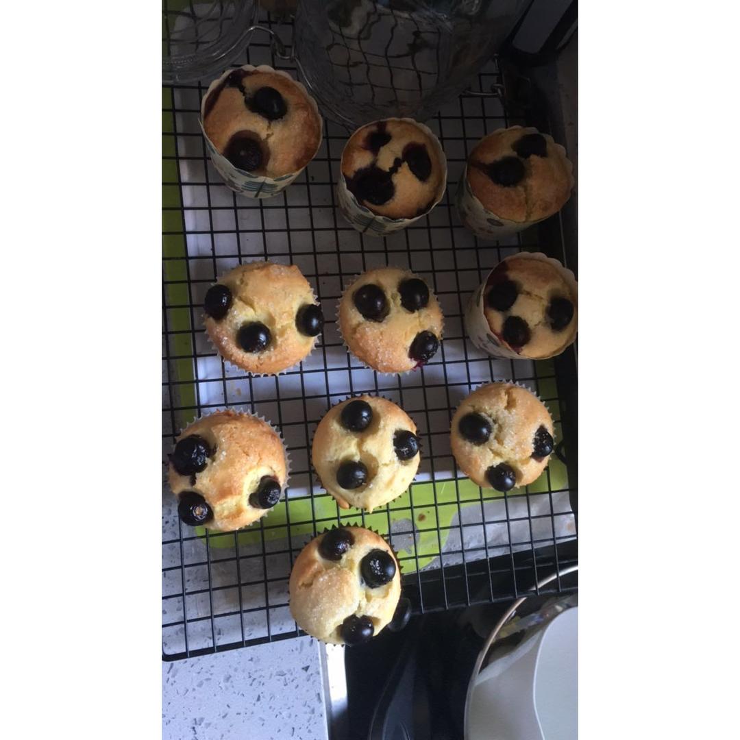 蓝莓玛芬蛋糕 Blueberry Muffin