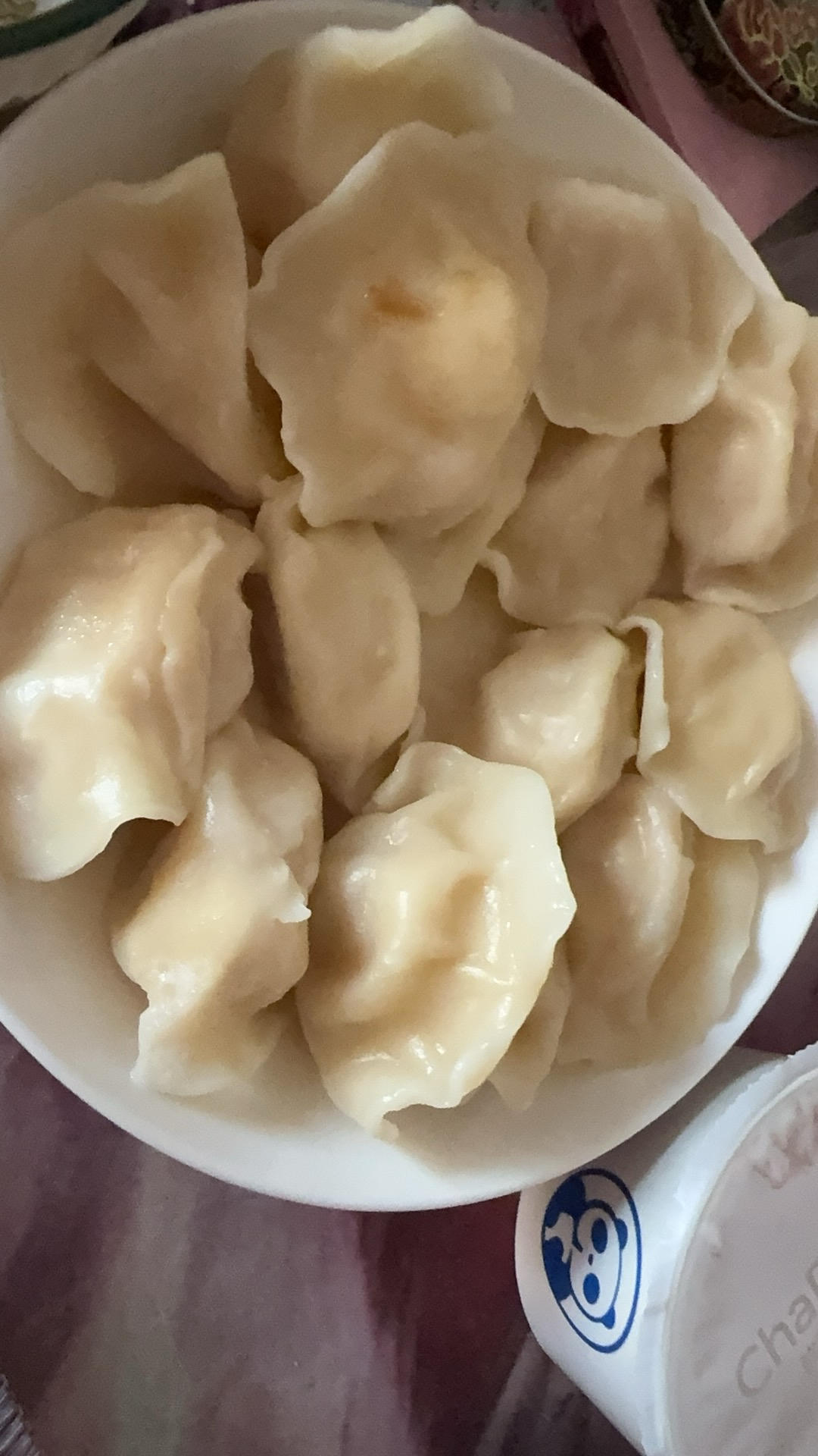 煮速冻饺子（不破不用加水版）