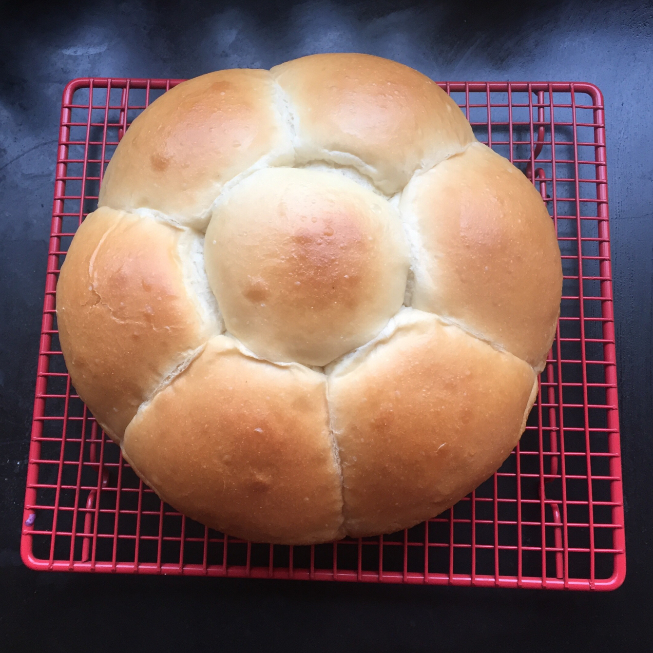 中种炼奶排包