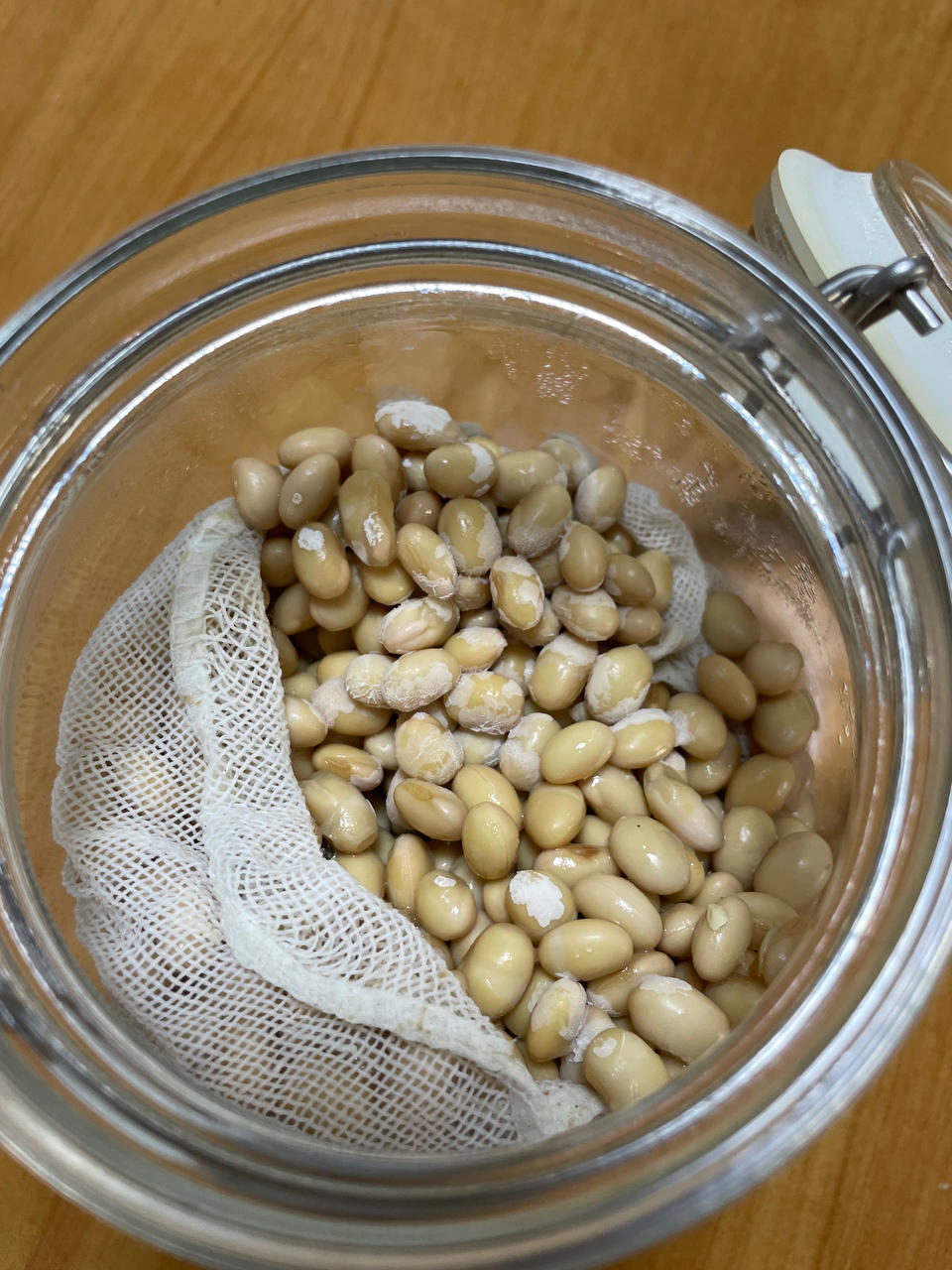 自制干豆豉+水豆豉