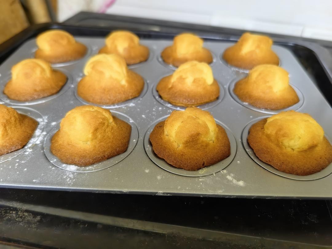 玛德琳（蓝带方）