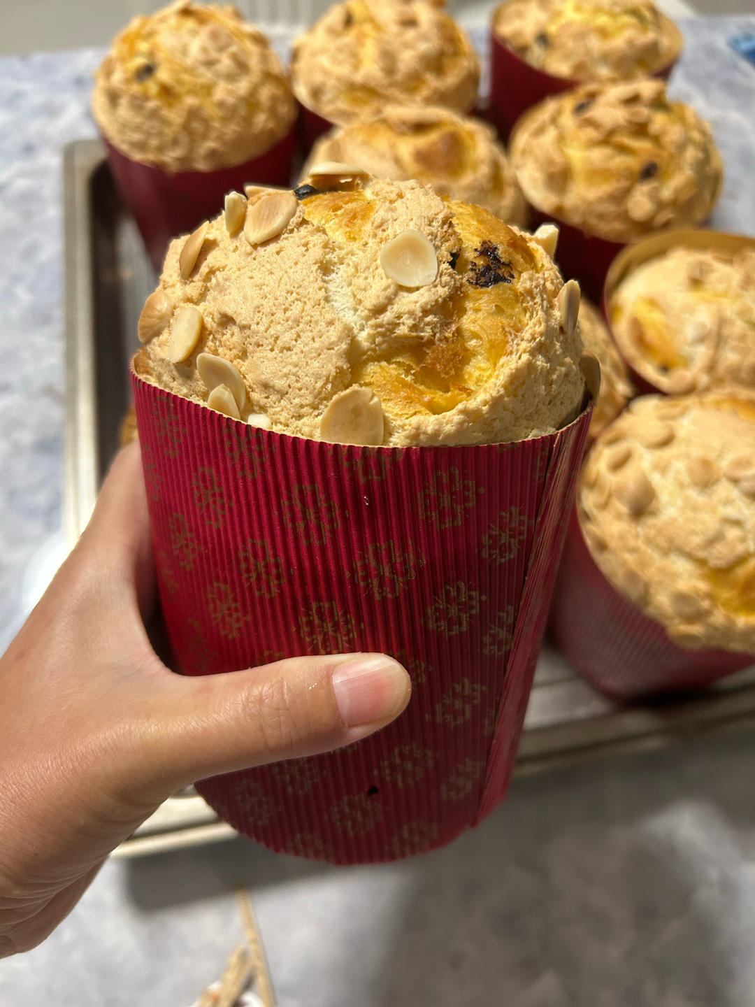 一期一会「潘娜托尼」！