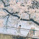 手机用户1520_4wem