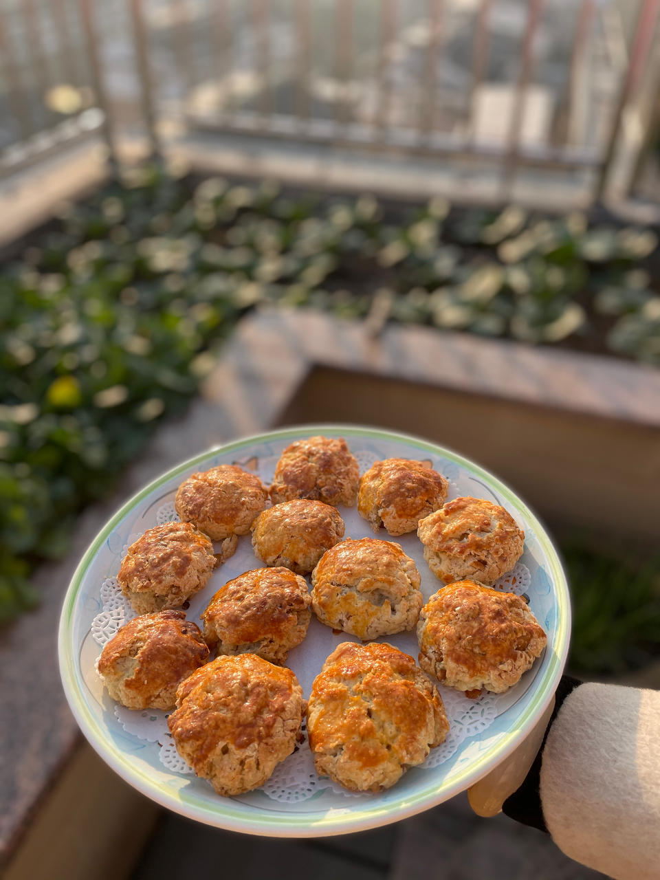 完美裂纹～百分百成功的超好吃奶香司康（禁止搬运）