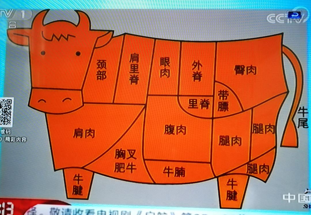 怎么挑牛肉 牛肉的分类的做法