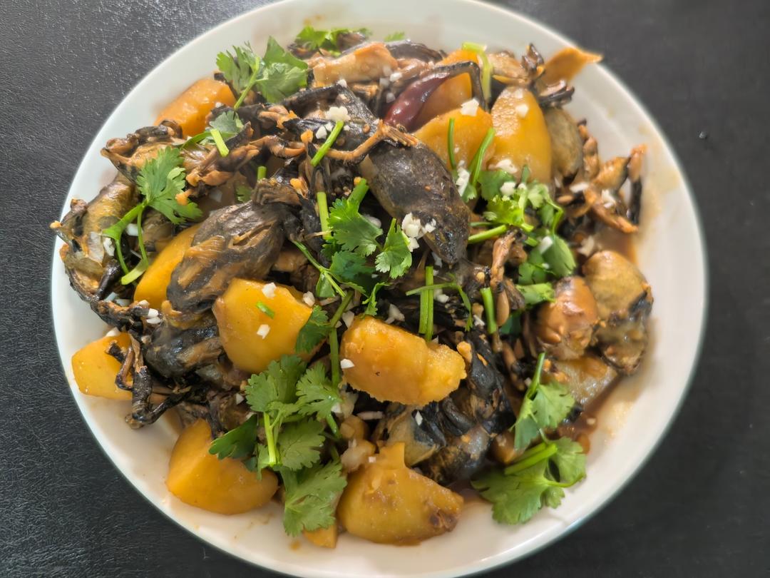 东北林蛙炖土豆（林蛙是养殖的）