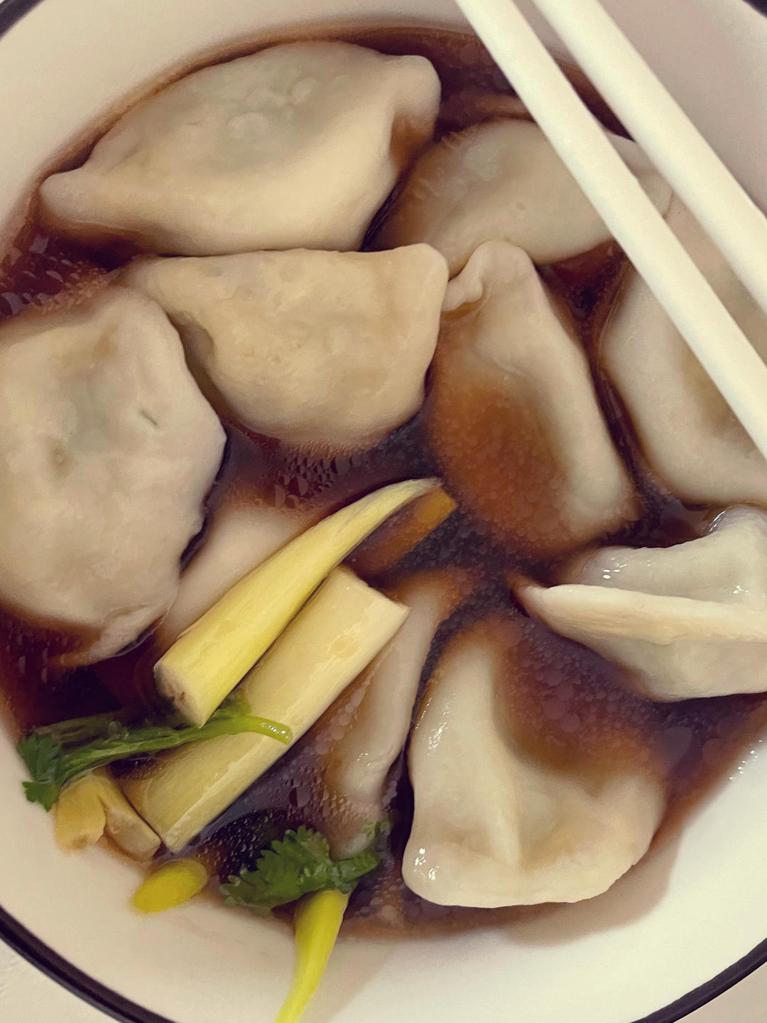 快手酸汤水饺（十分钟搞定）