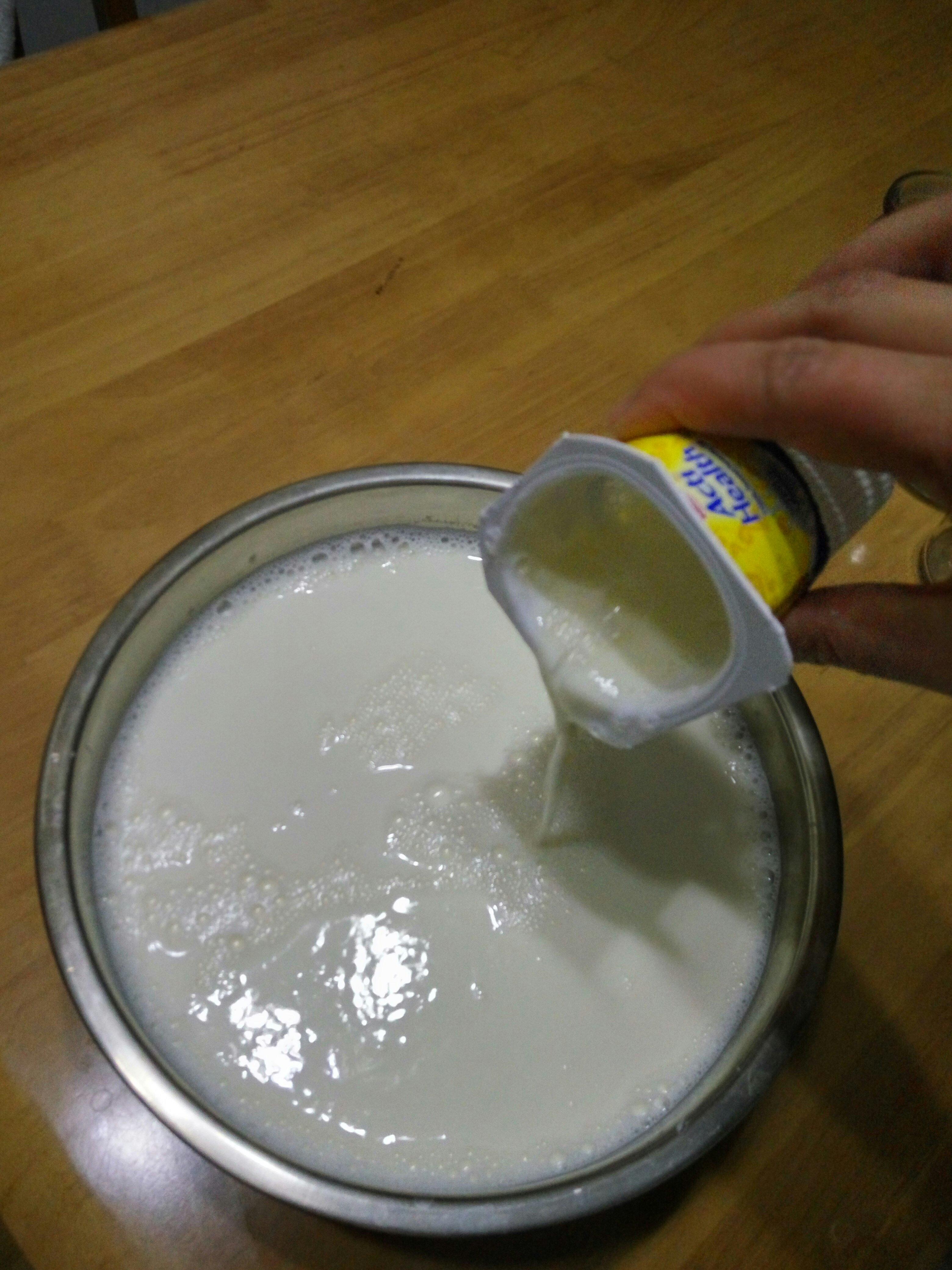 自制酸奶的做法 步骤4