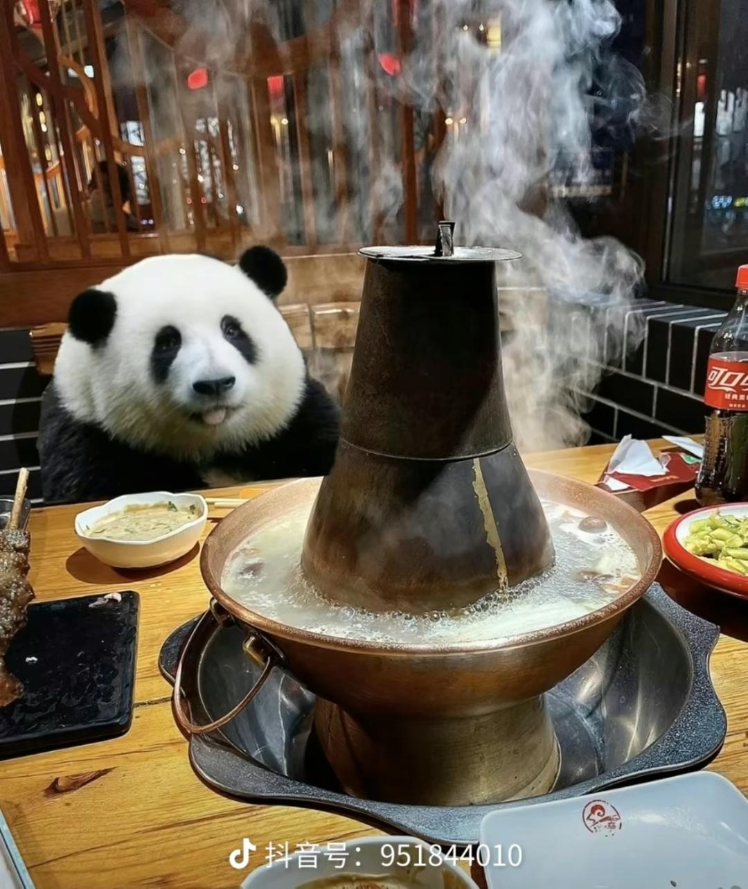 你觉得呢对吧