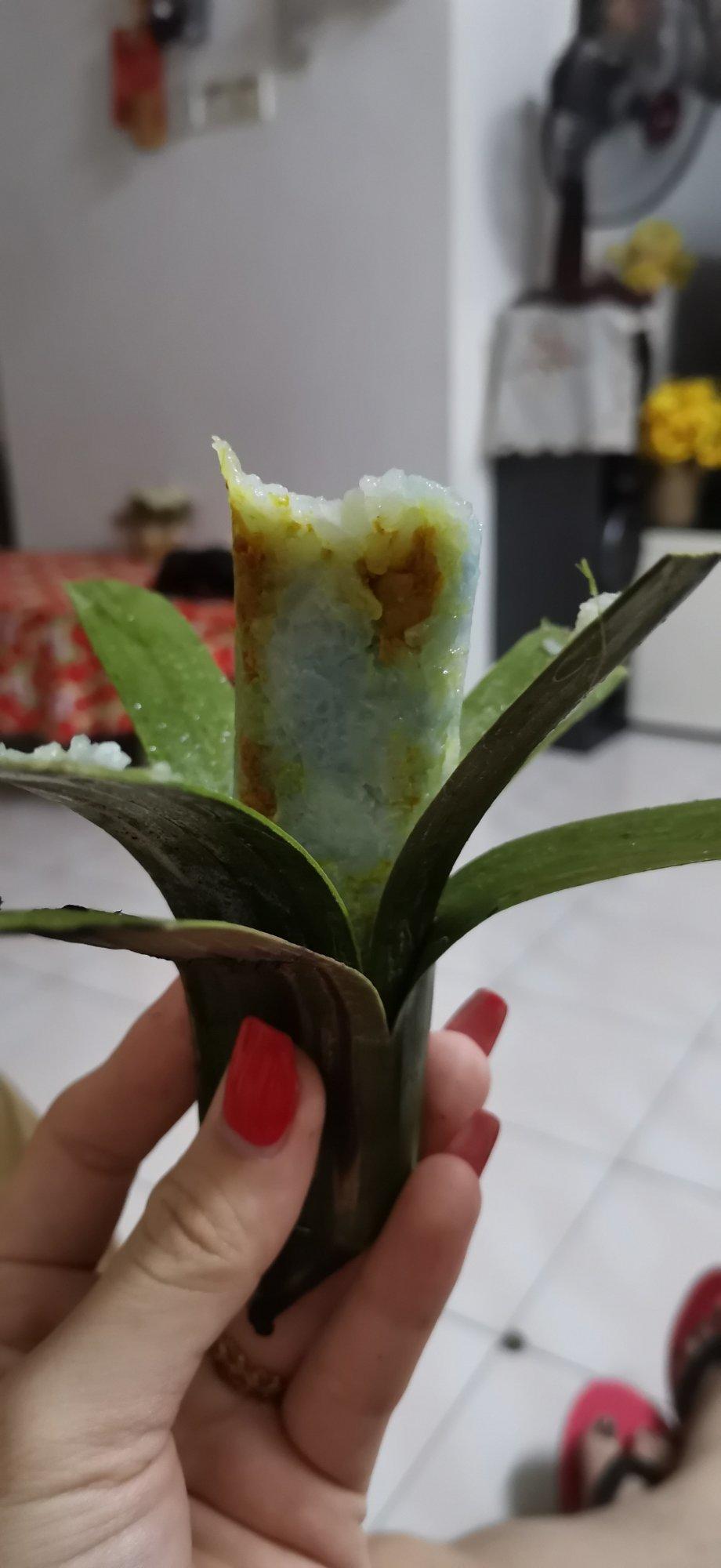 娘惹美食:香辣虾糯米卷rempah udang的全部作品