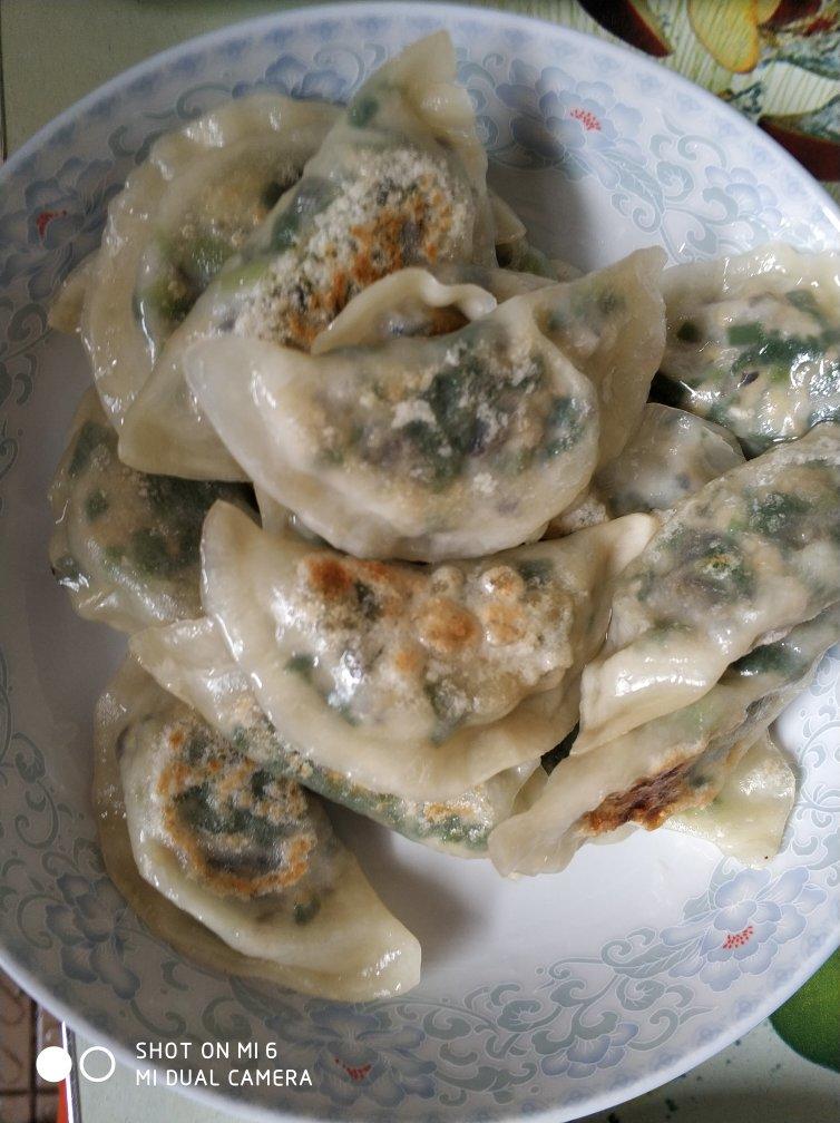 猪肉韭菜饺子
