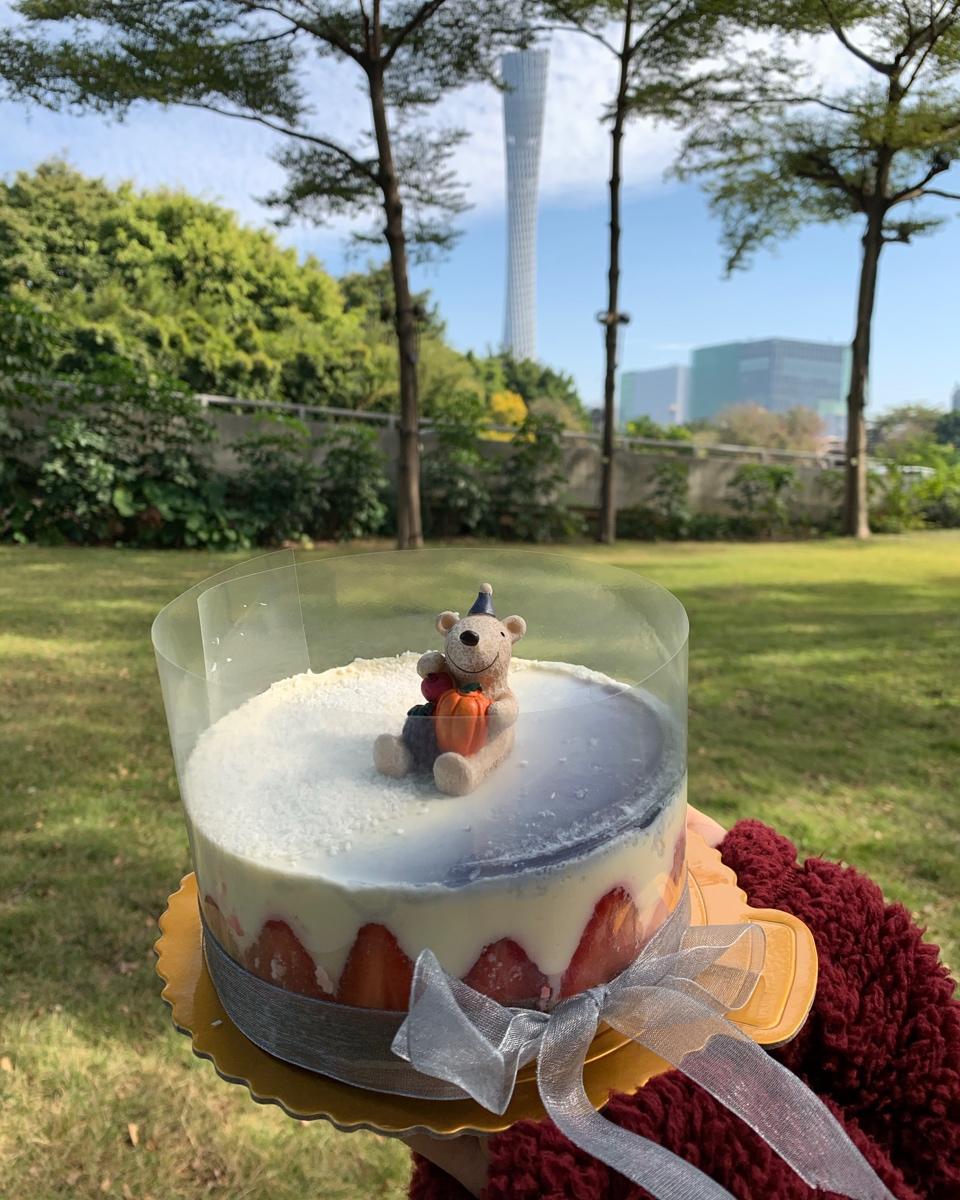 【视频】免烤冻芝士蛋糕 | 超适合夏日