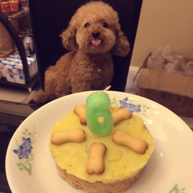 狗狗生日蛋糕（纯天然无色素无面粉）