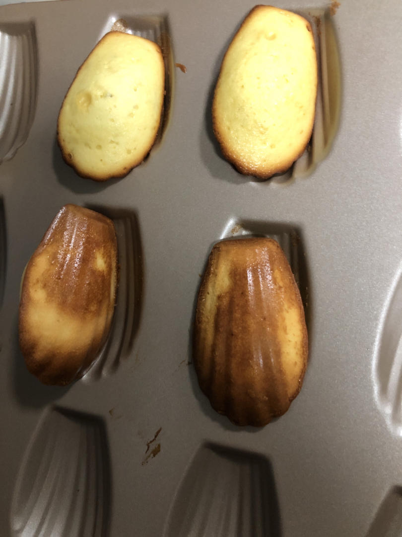 《Tinrry+》柠檬玛德琳