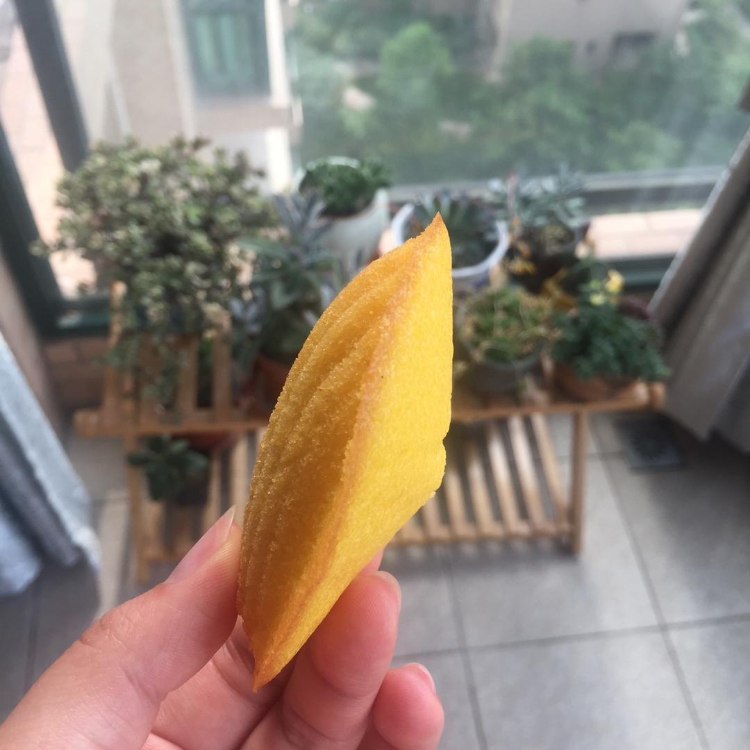 草莓柠檬玛德琳（及经验总结）