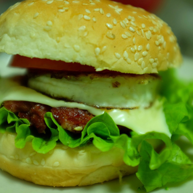 自制营养肉饼汉堡包