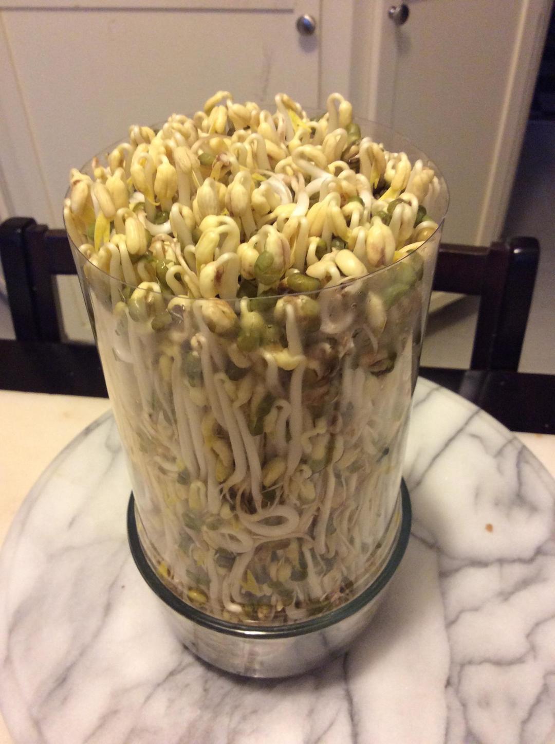 简单家庭版自发豆芽的做法