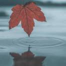 隔壁的解忧大大