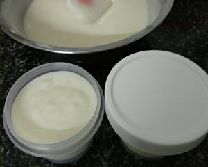 酸奶冰淇淋（无蛋无奶油无冰渣）的做法 步骤5