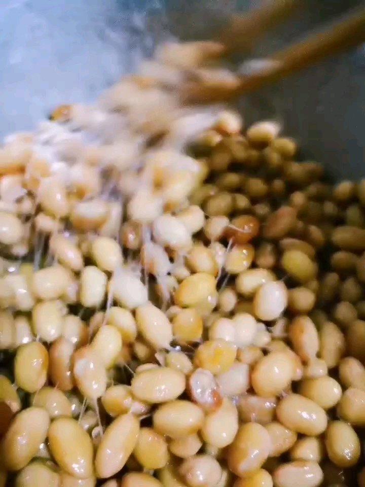 自制纳豆（酸奶机，面包机，烤箱版）