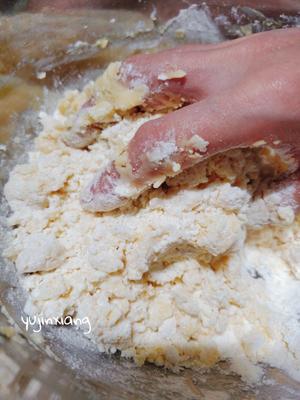 减黄油减糖的曲奇饼干   （简单快手.好吃不腻）的做法 步骤3