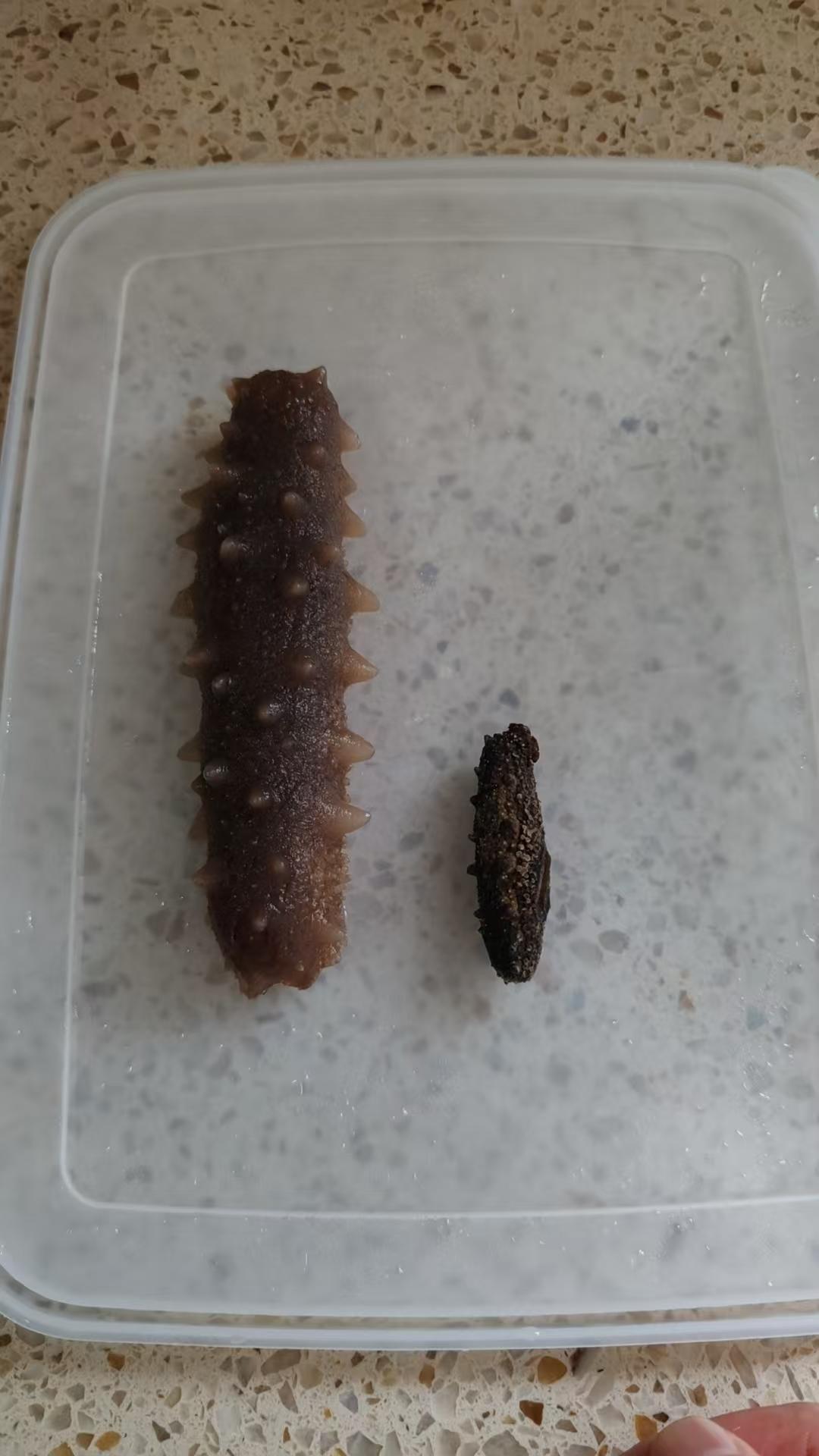 堂妈教你发海参