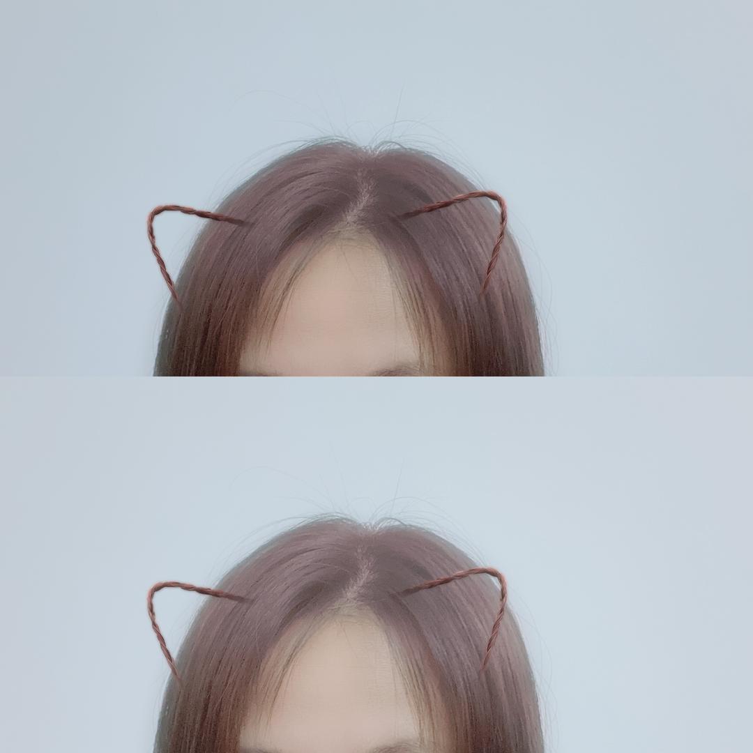 仙菇吃肉
