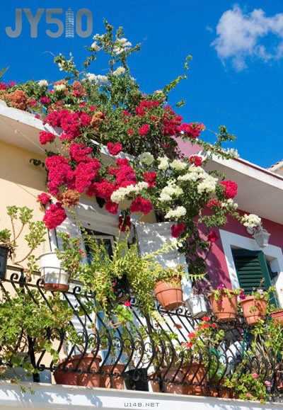 贪吃的…………