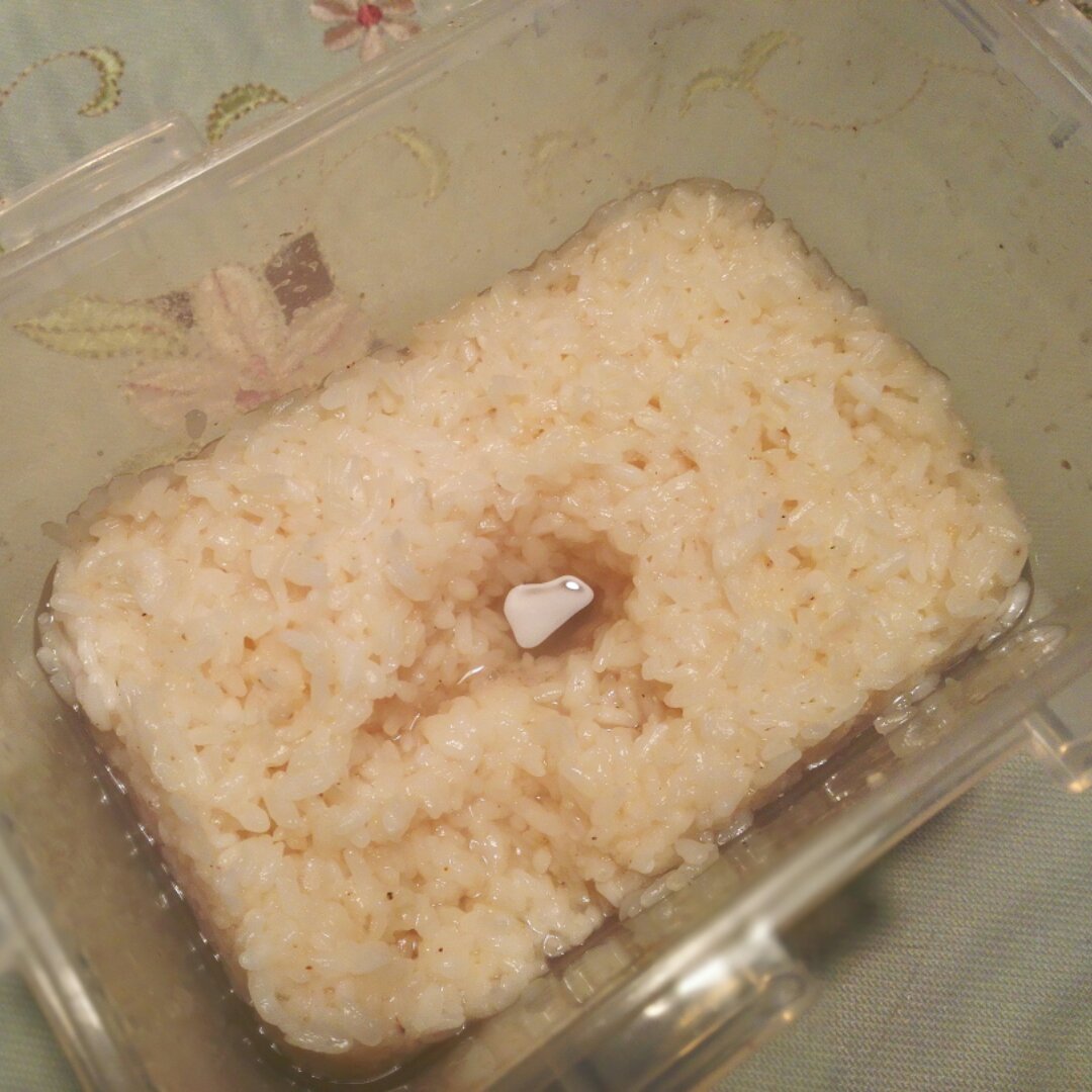 酒酿 (酒酿系列一）