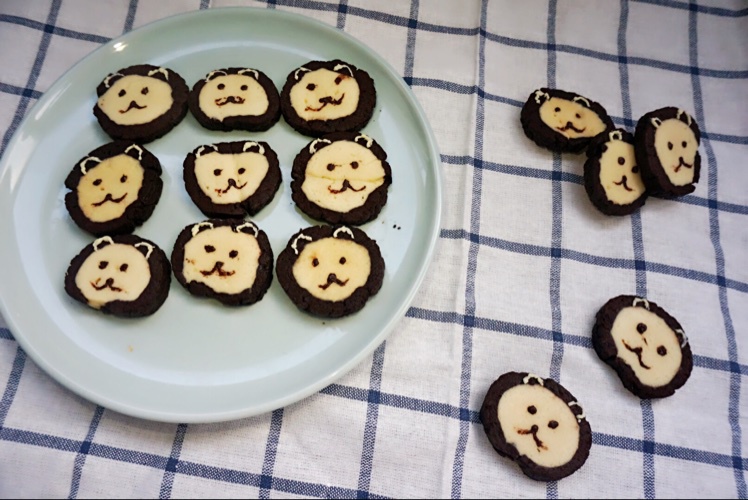 萌哭了的可可狮子饼干