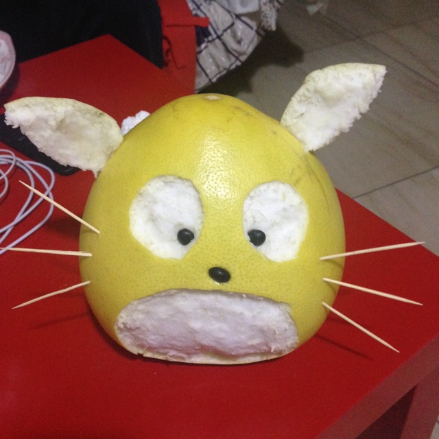 顽皮柚子龙猫