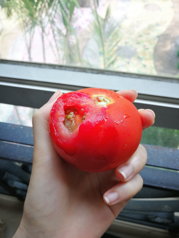 “阴阳脸”冰冻番茄——懒人的消暑零食的做法