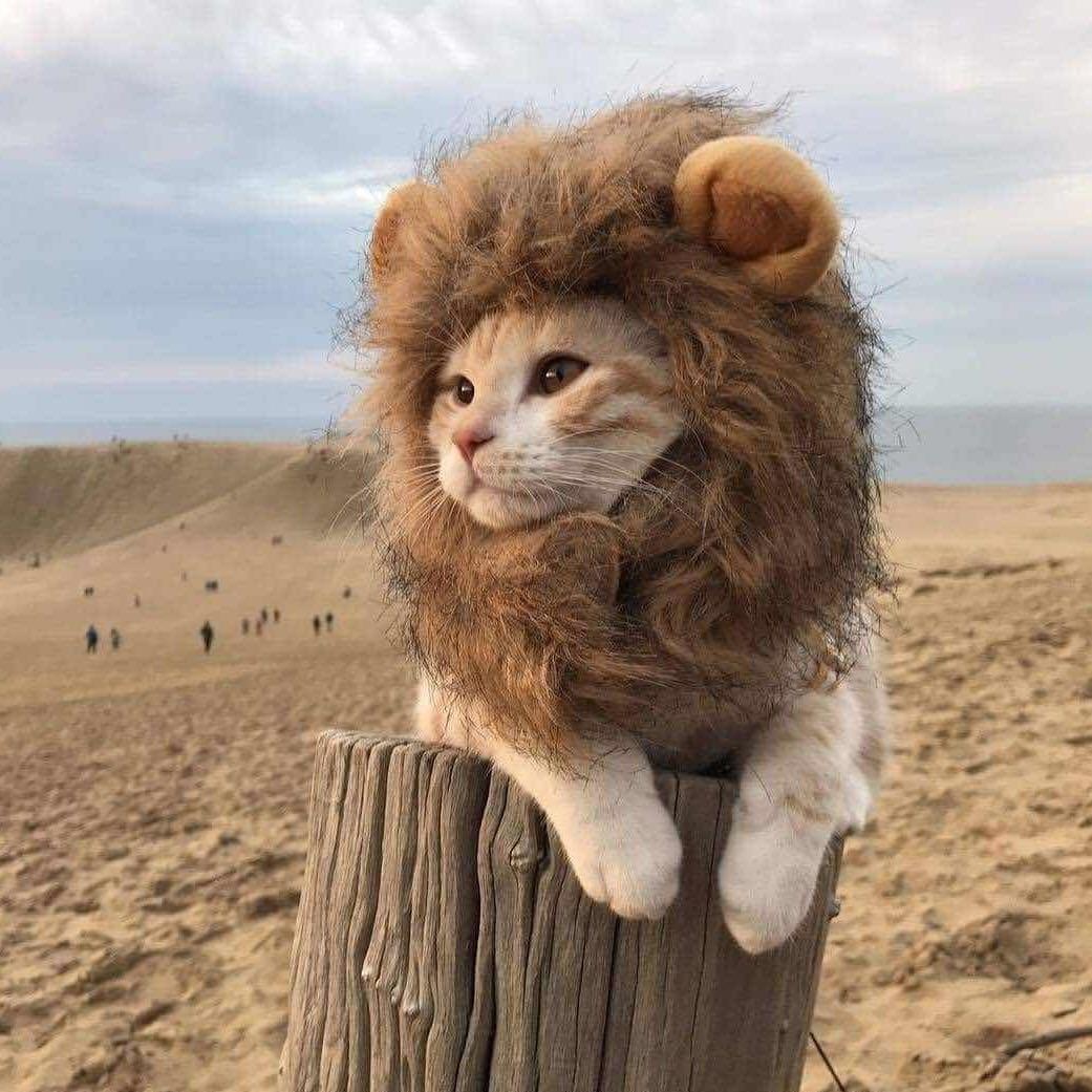 手机用户0728_axpr