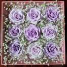 手机用户8298_82fv