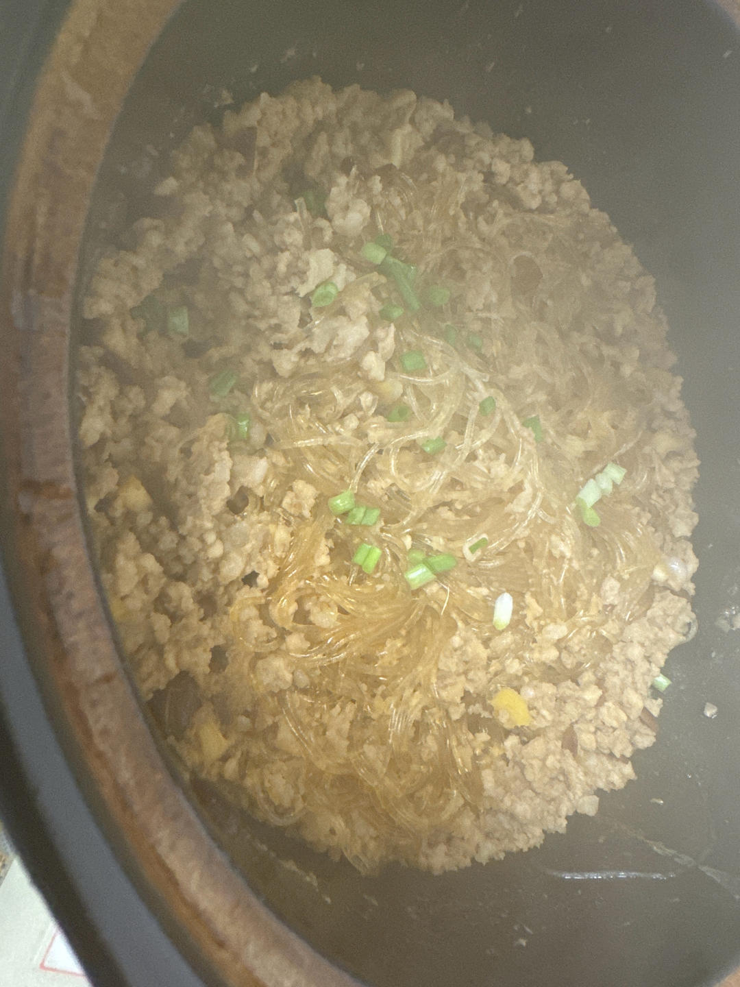 肉末粉丝煲（蚂蚁上树，干捞粉丝煲）